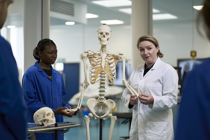 Human Biology 800 533