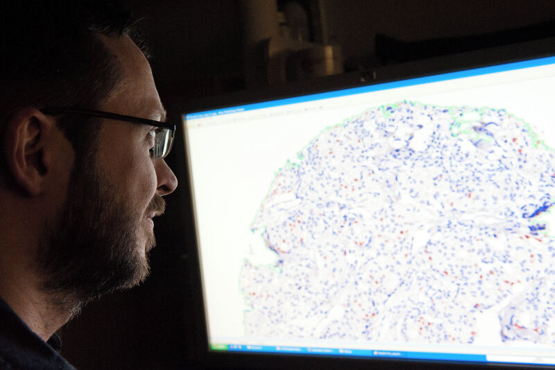 Man looking at data on a computer screen