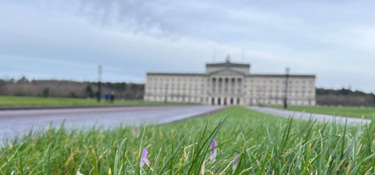Stormont building in background with grass and flowers in foreground