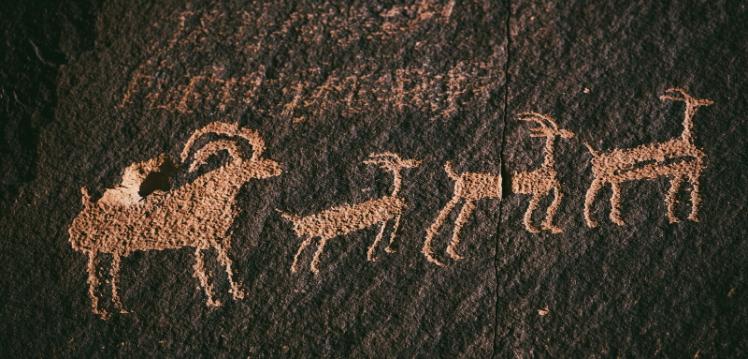 Drawing of animals on a rock wall