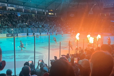 Belfast Giants entrance