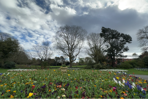 Botanic Gardens flowers