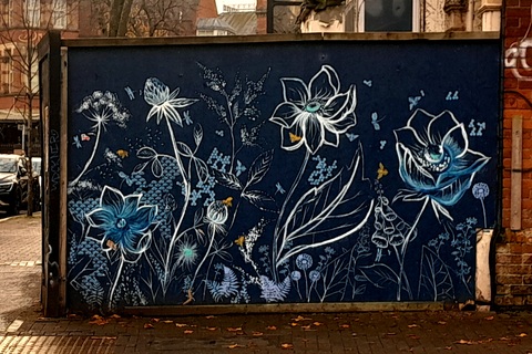 Street art on a wall in Botanic Avenue