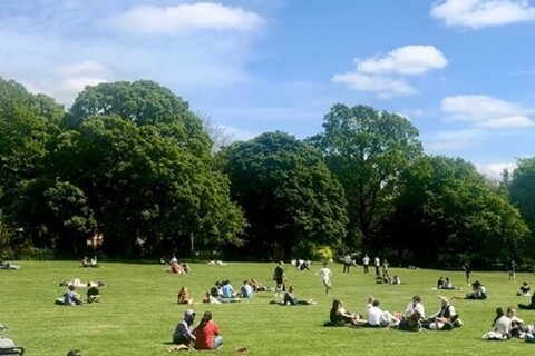 Botanic Gardens on a sunny day