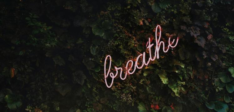 Pink 'Breathe' sign against a leafy background