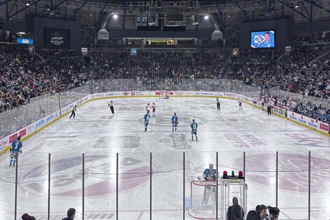 Belfast Giants game in SSE Arena
