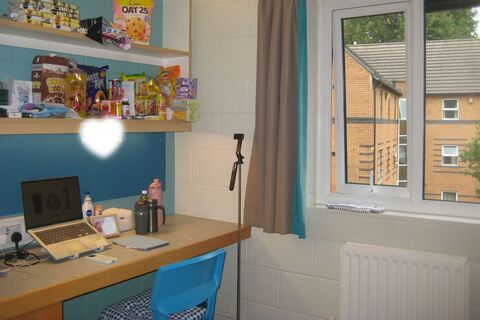 Elms BT9 room interior