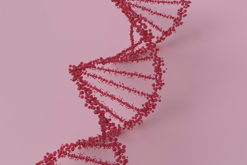 DNA strand