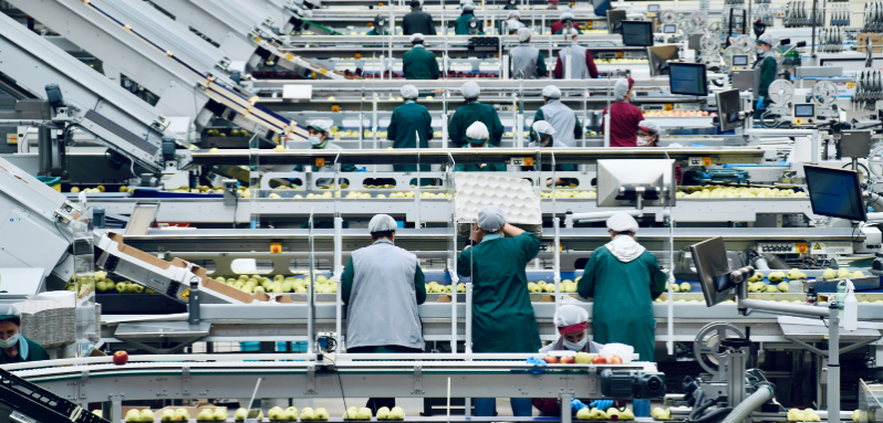 people in a food factory