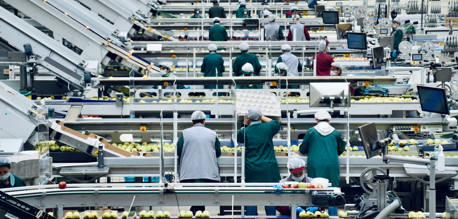 people in a food factory