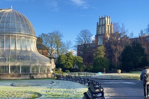 Botanic Gardens in frost