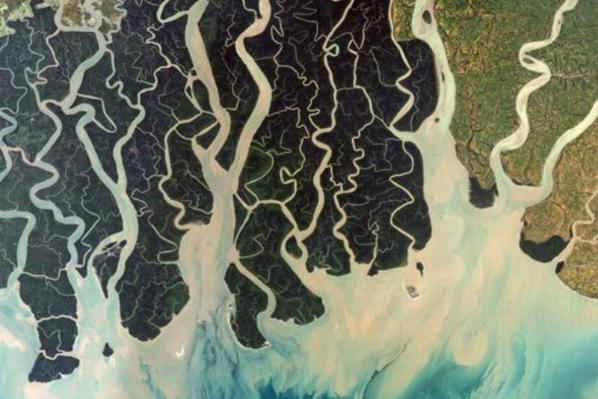 Drawing of rivers moving out into the sea