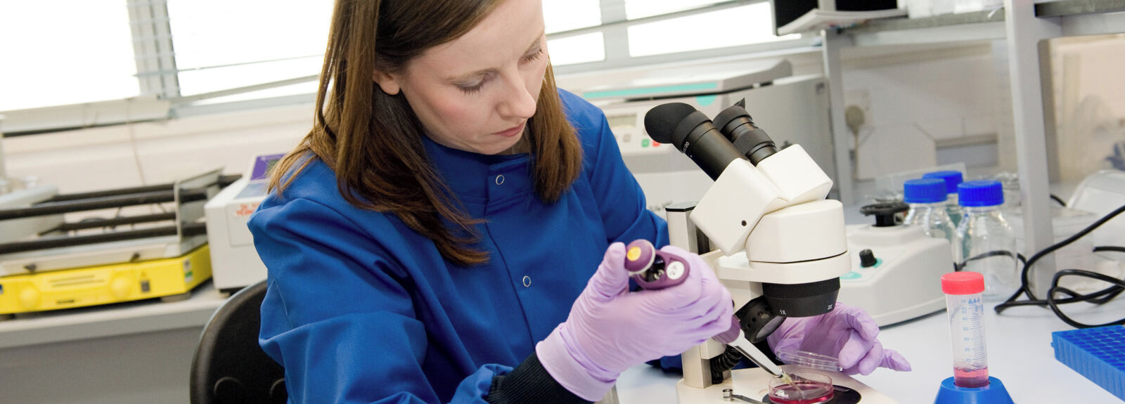 Researcher from Centre for Infection & Immunity looking at sample under microscope