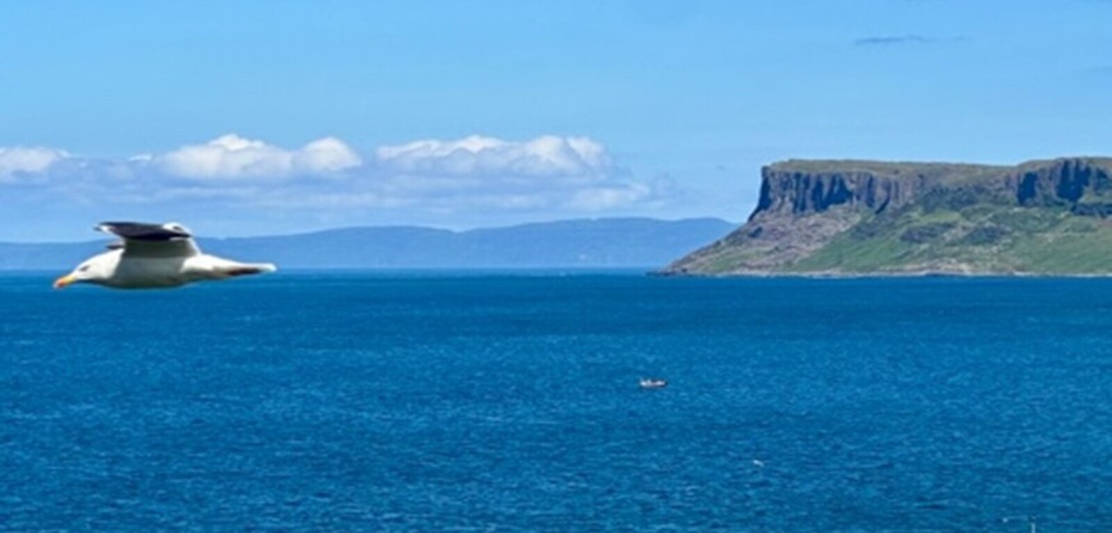 North Coast sea image with seagull