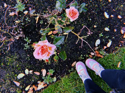 Student's feet on top of flower bed in Botanic Gardens