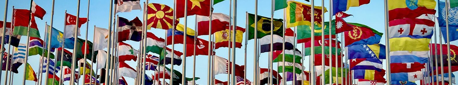 Lots of flags flying on flagpoles