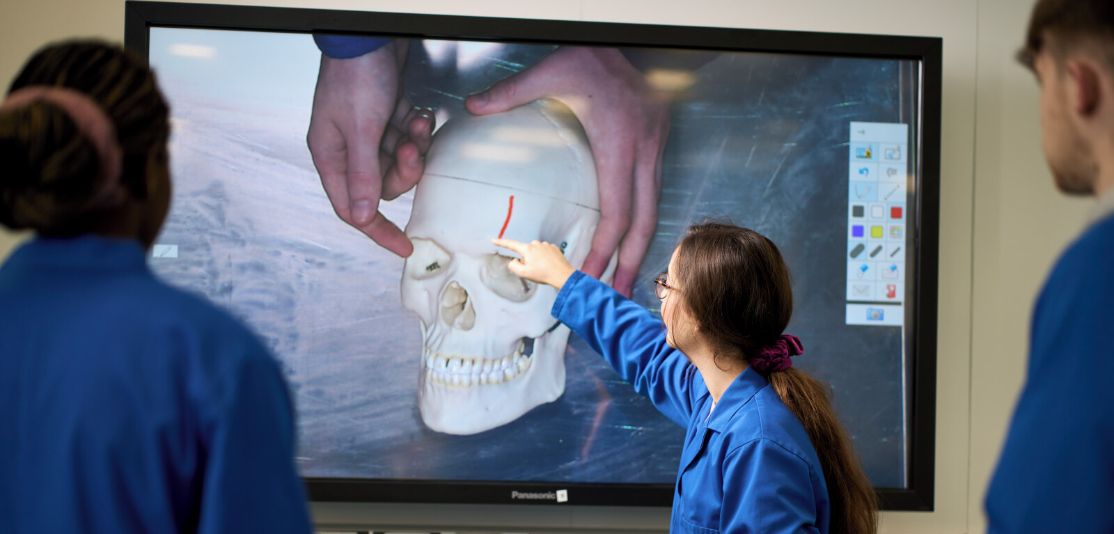 Medicine students looking at image of skull