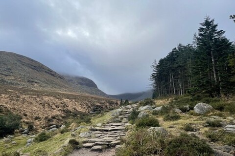 Mountain trail at Slieve Donard