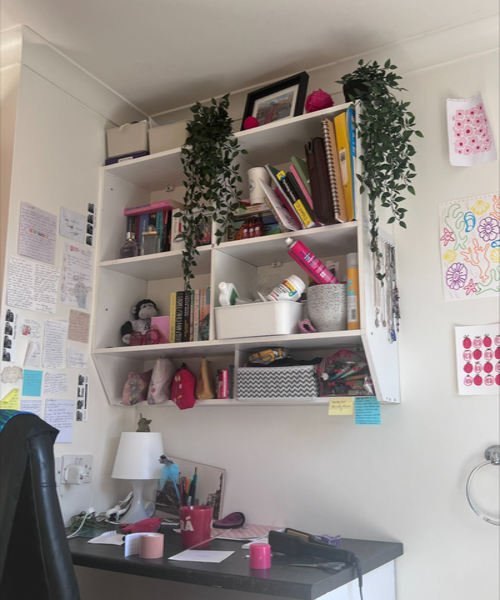 Student Niamh's workstation at home
