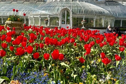 Flowers outside Palm House