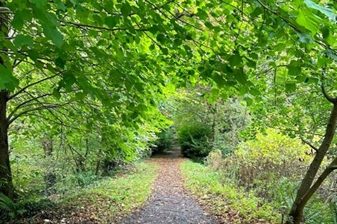 Park trail