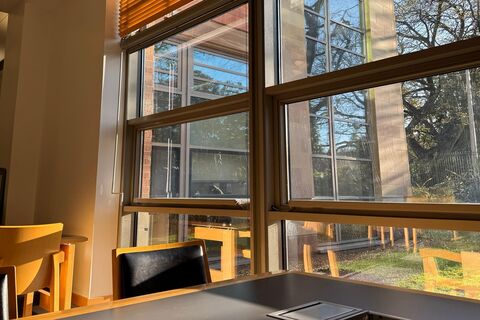Windows in the McClay Library