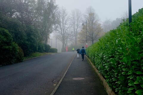 Path to Riddel Hall surrounded by trees