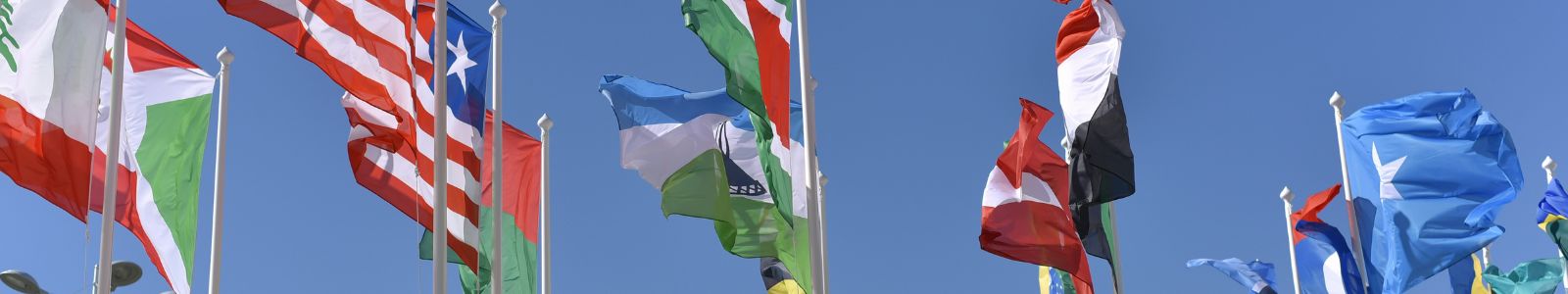 Flags