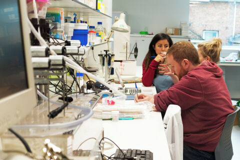 Students at the Wellcome-Wolfson Institute for Experimental Medicine