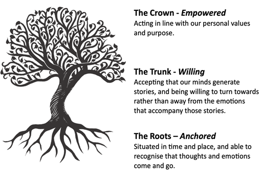 The Wisdom of Trees: A Metaphor for Psychological Flexibility | About ...