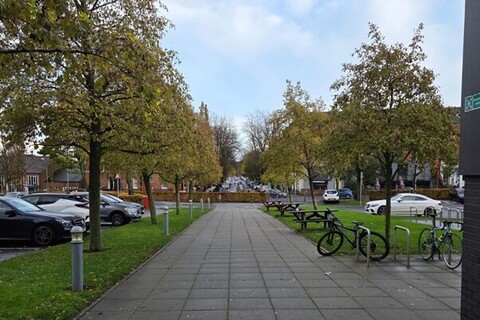 Footpath surrounded by trees outside the MBC