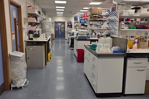 Inside a lab at Queen's