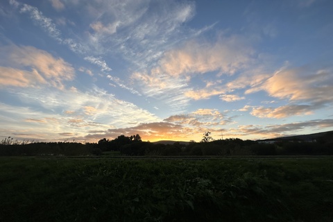 Skyline of Waterworks in Belfast