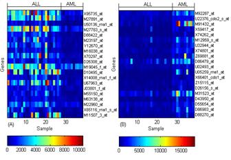 Selected gene expression level