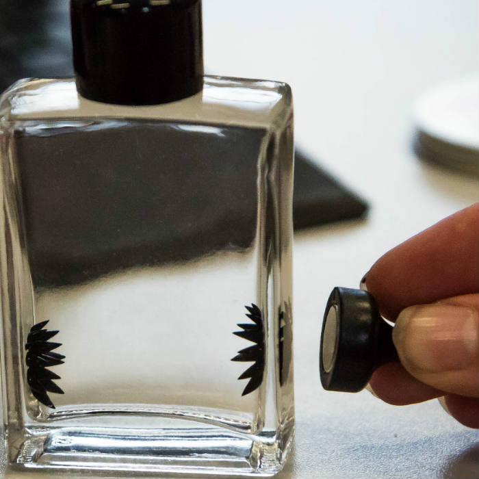 Magnetism explained via Ferrofluid 