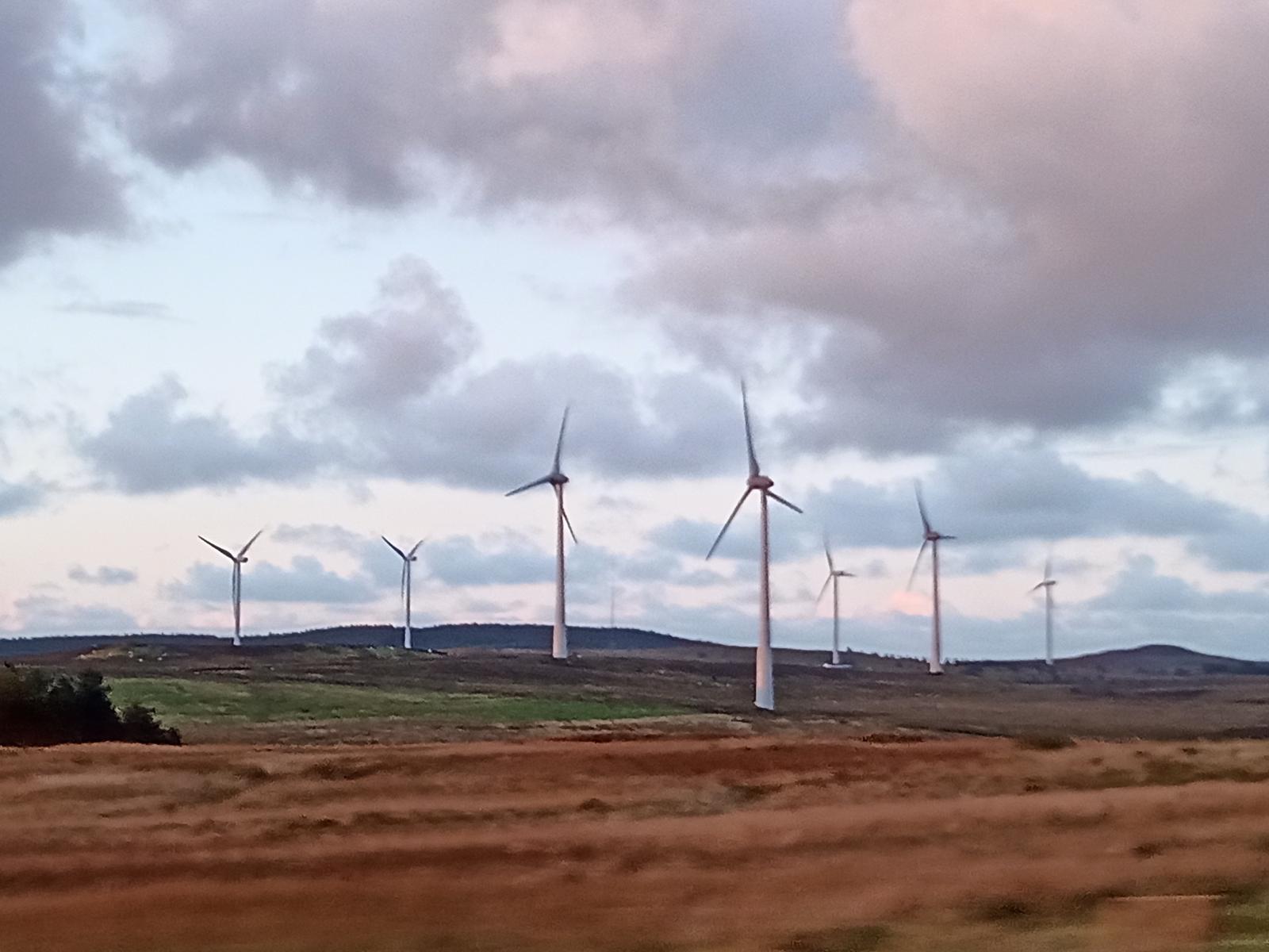 wind farm