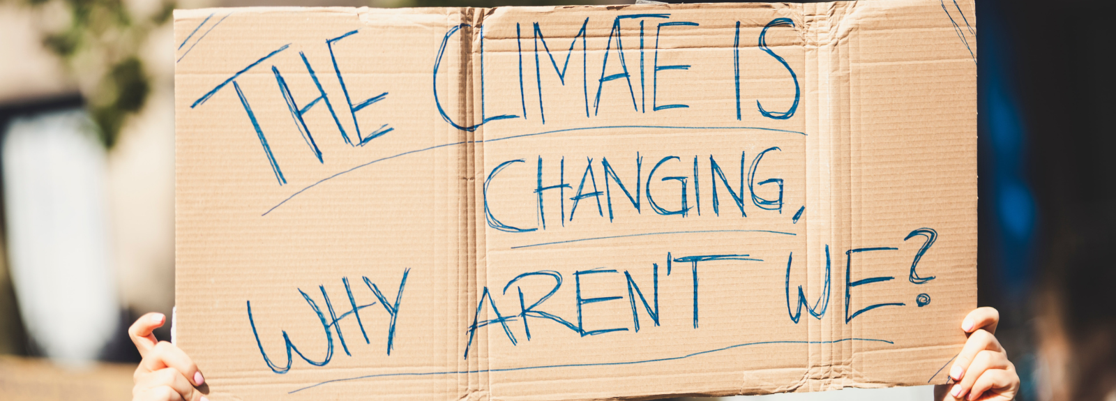 Cardboard sign saying 'The climate is changing, why aren't we?'
