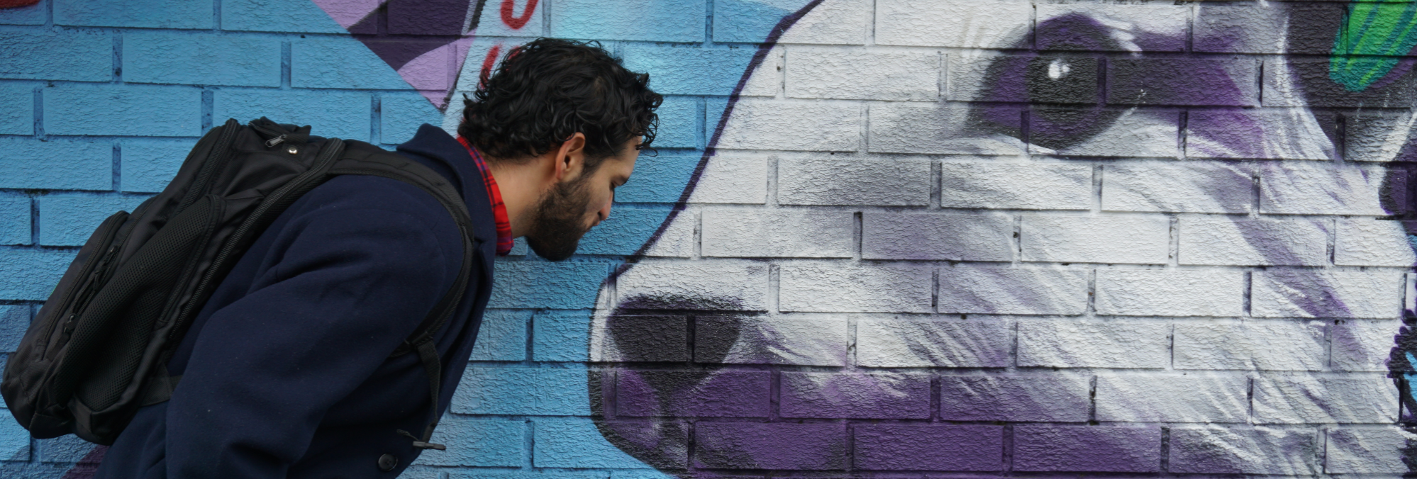 man looking at mural