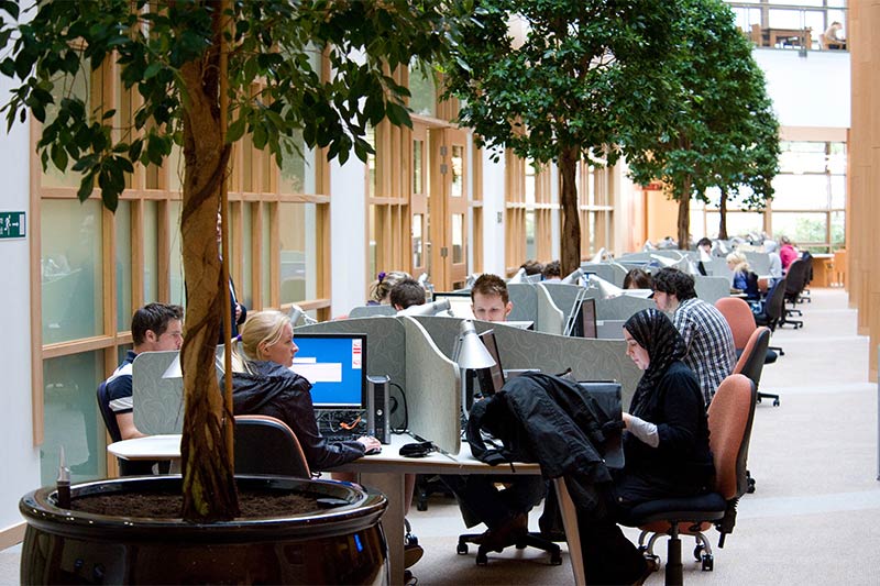 students working in the mcclay library computer study area