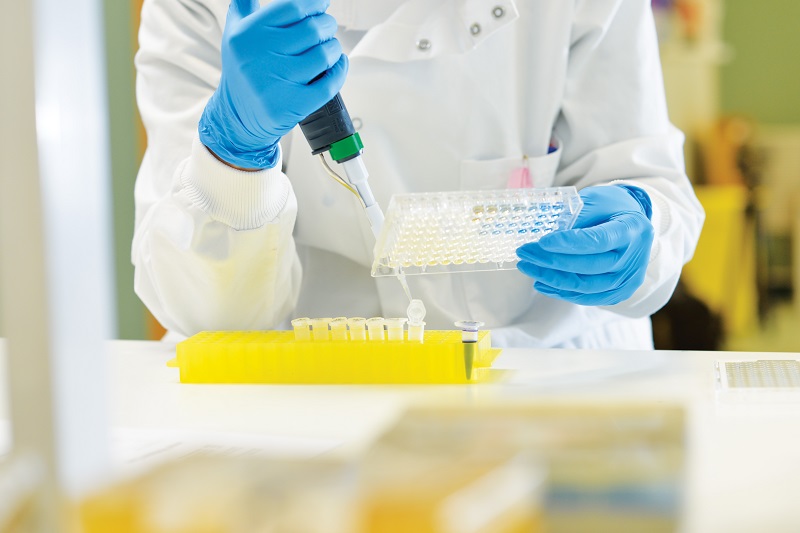 Image of pipettes being used in the laboratory