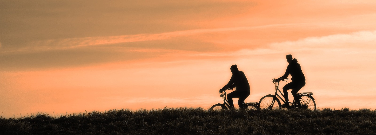 Cycling Banner Public Health 1600 575