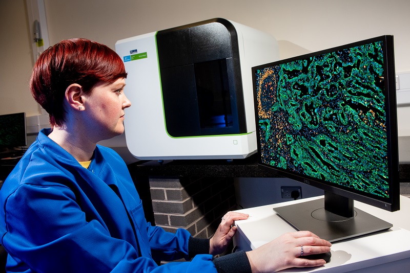 Female analyzing tissue