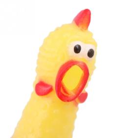 Picture of a rubber chicken's face
