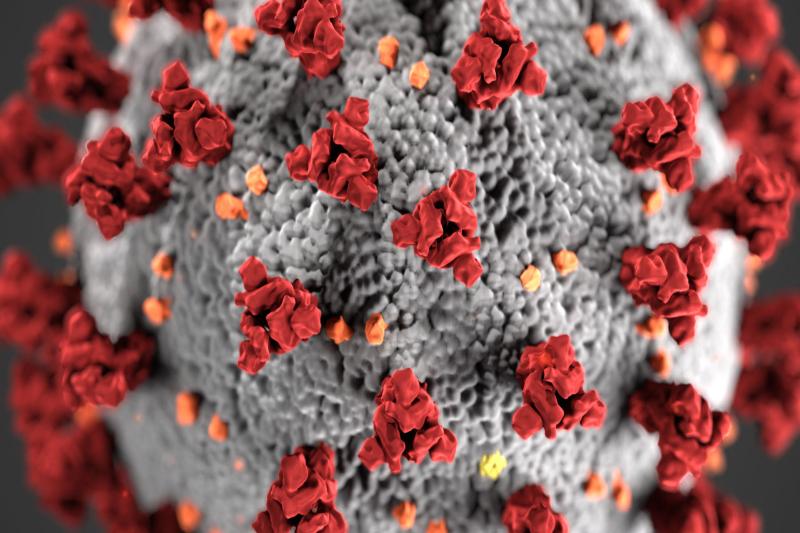 Coronavirus image