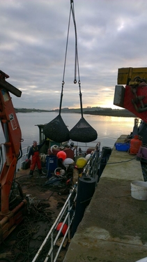 Figure 1: Kyoto anchor bags being loaded onto barge for deployment