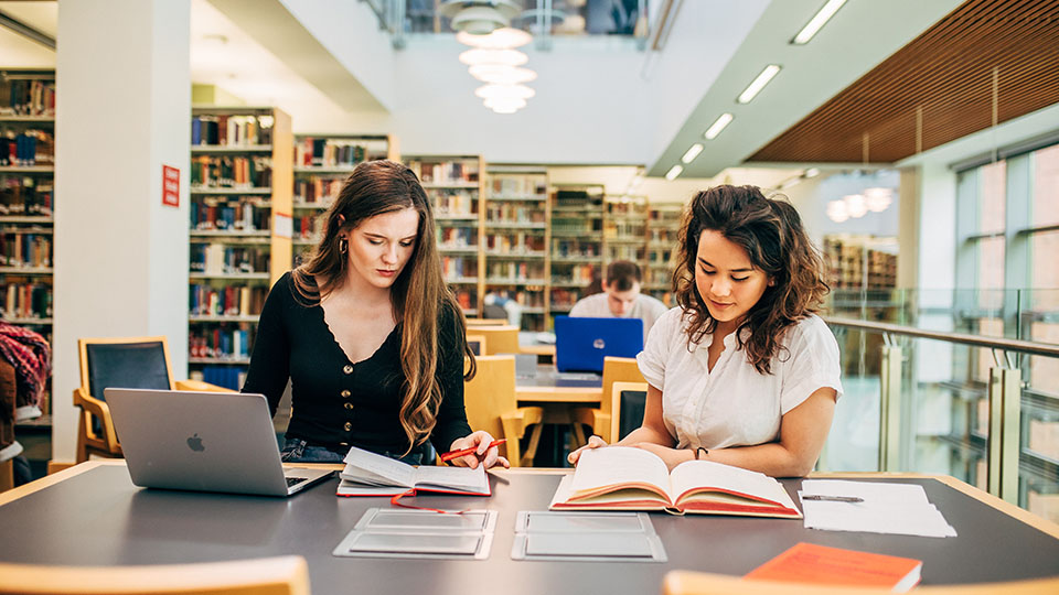 Two students in the library studying