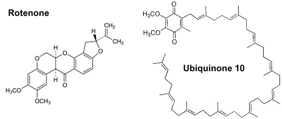 Rotenone Ubiquinone