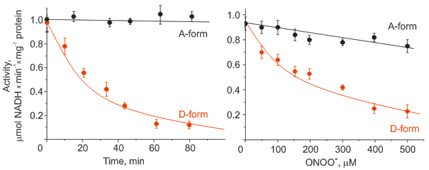 NADH oxidase