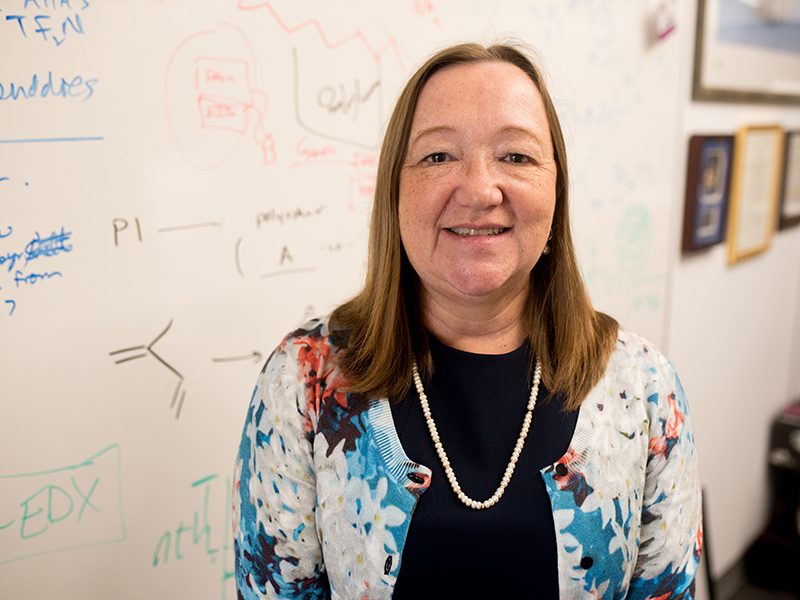 Prof. Joan Brennecke