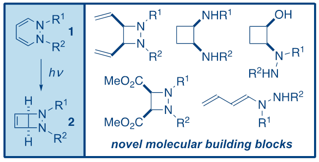 A chemical reaction mechanism